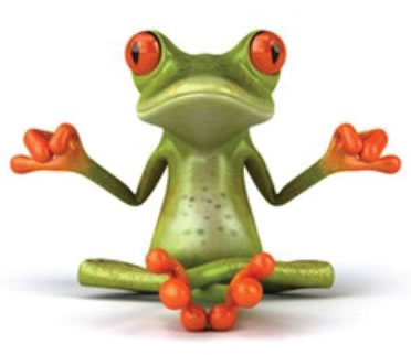 Calm Frog