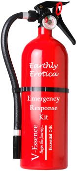 Fire Extinguisher
