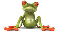 Earth Frog