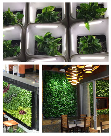 Green Wall